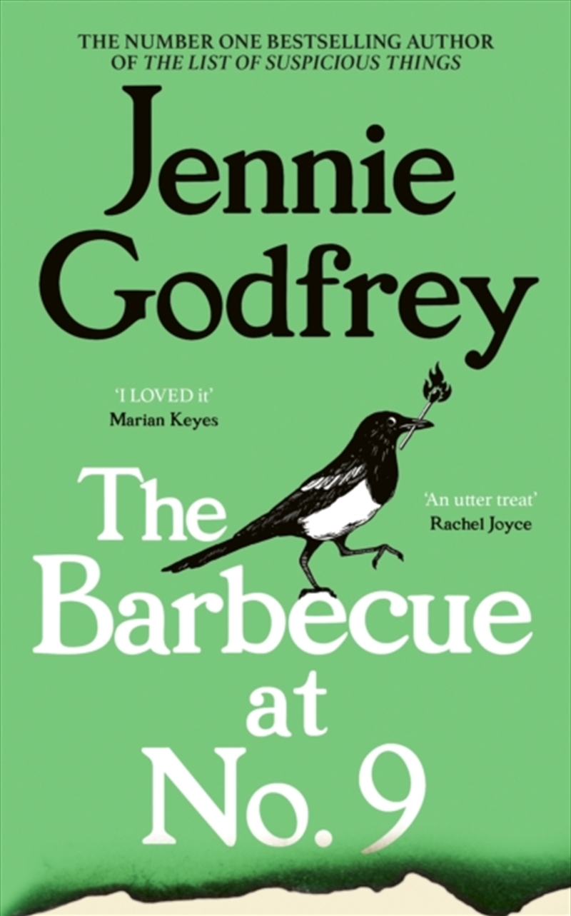 The Barbecue at No.9/Product Detail/General Fiction Books