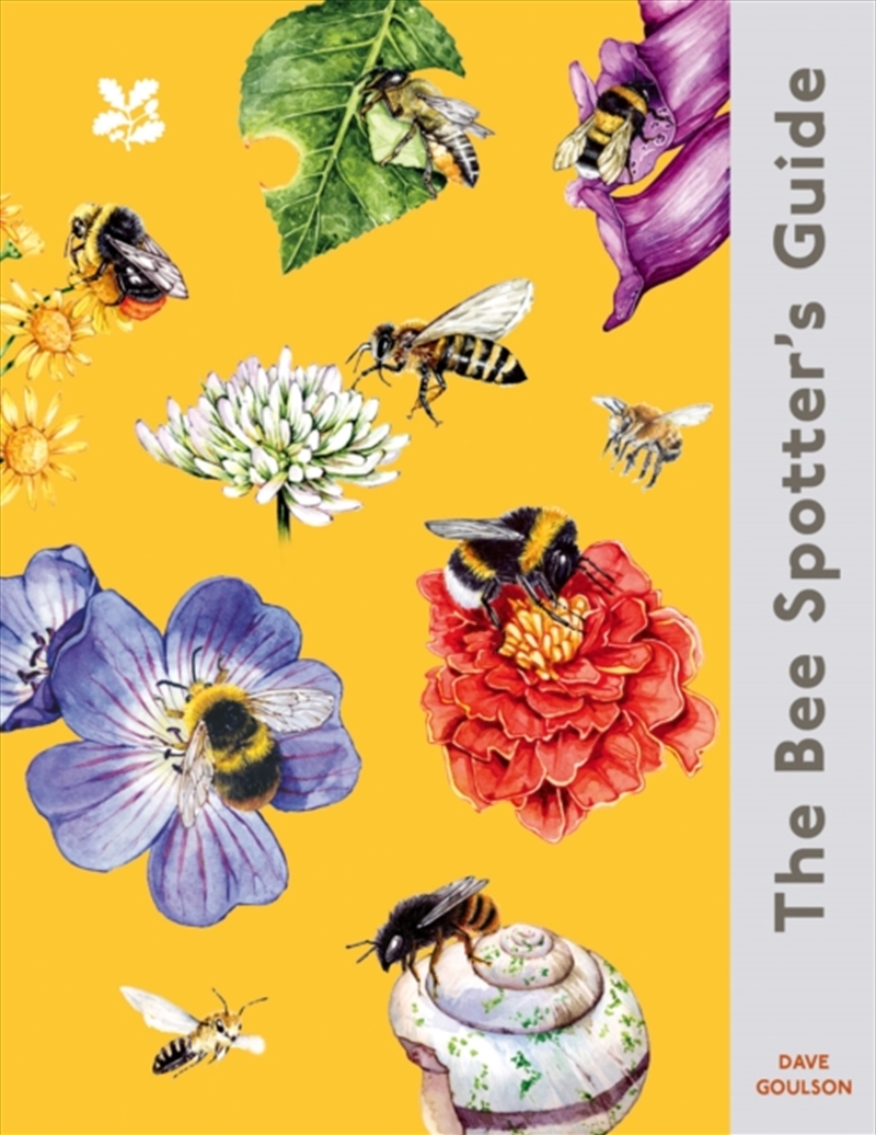 The Bee Spotter’s Guide/Product Detail/Animals & Nature