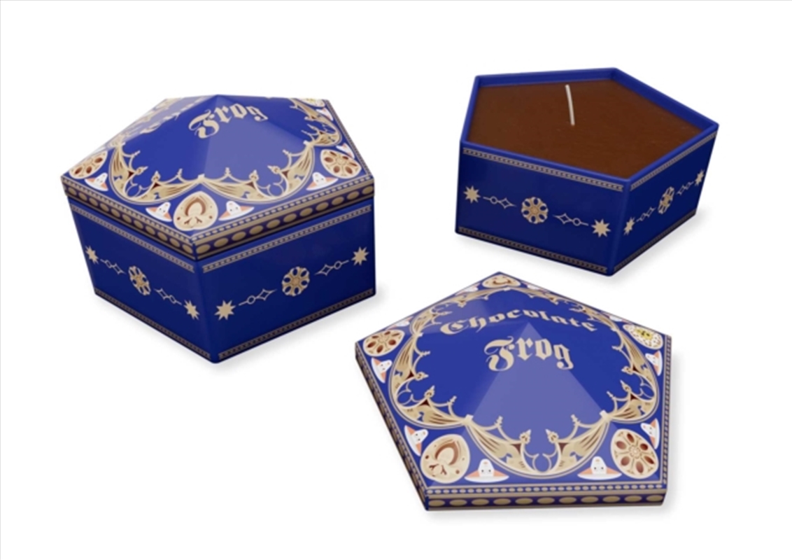 Harry Potter: Chocolate Frog Candle/Product Detail/Candles