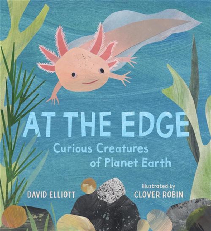 At The Edge: Curious Creatures Of Planet Earth/Product Detail/Childrens