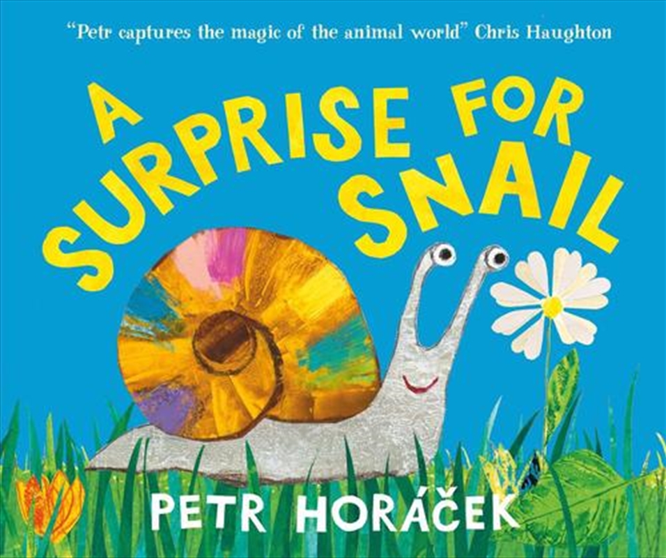 A Surprise For Snail/Product Detail/Early Childhood Fiction Books