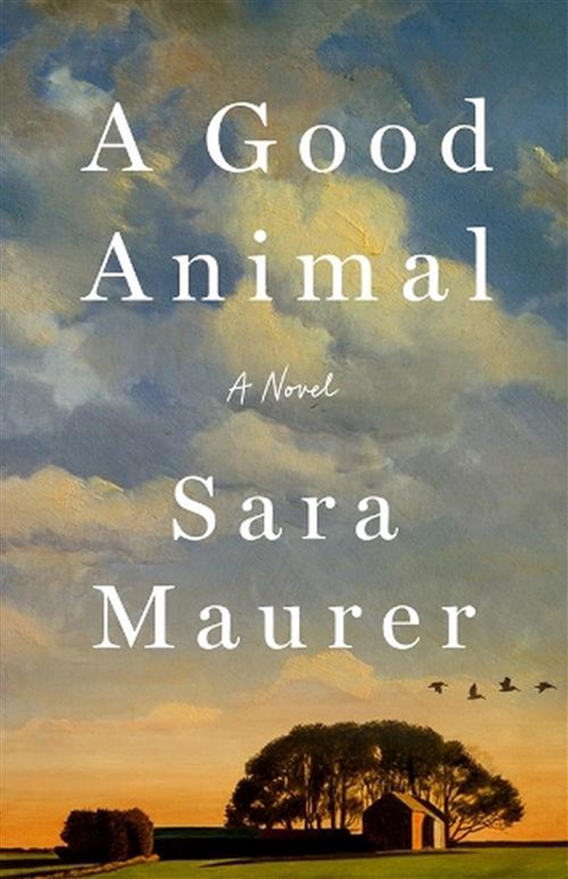 A Good Animal/Product Detail/Modern & Contemporary