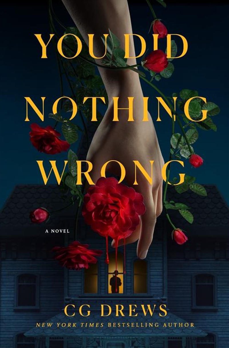You Did Nothing Wrong/Product Detail/Thrillers & Horror Books