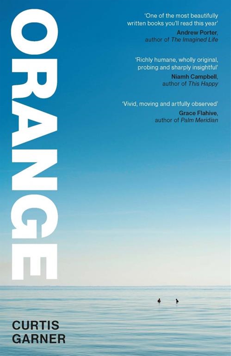 Orange/Product Detail/Modern & Contemporary