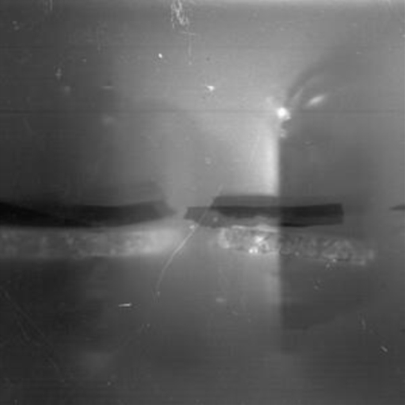 Hundred Tongues/Product Detail/Dance