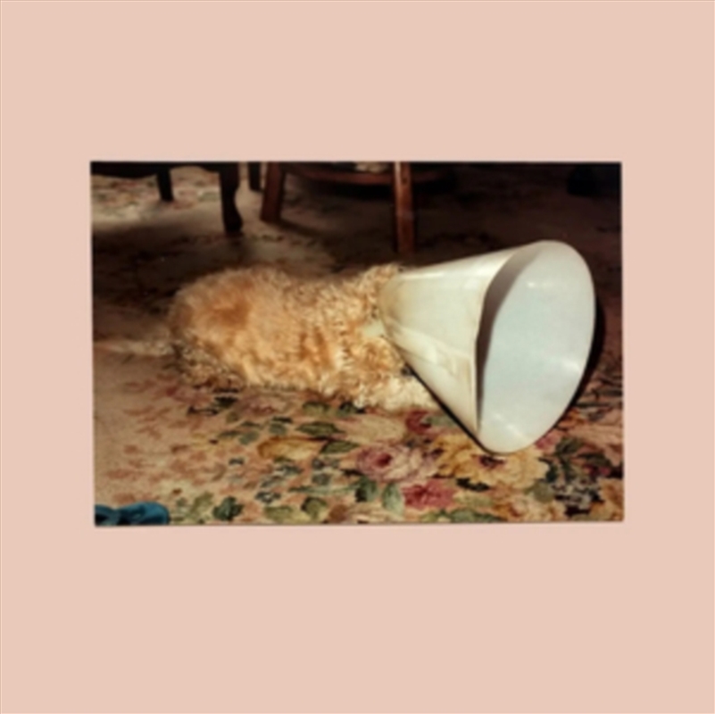 No - White Vinyl/Product Detail/Rock