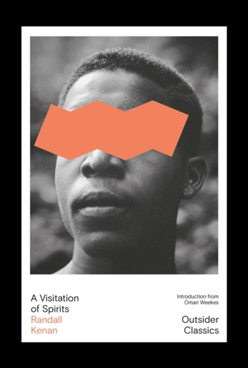 A Visitation of Spirits/Product Detail/General Fiction Books