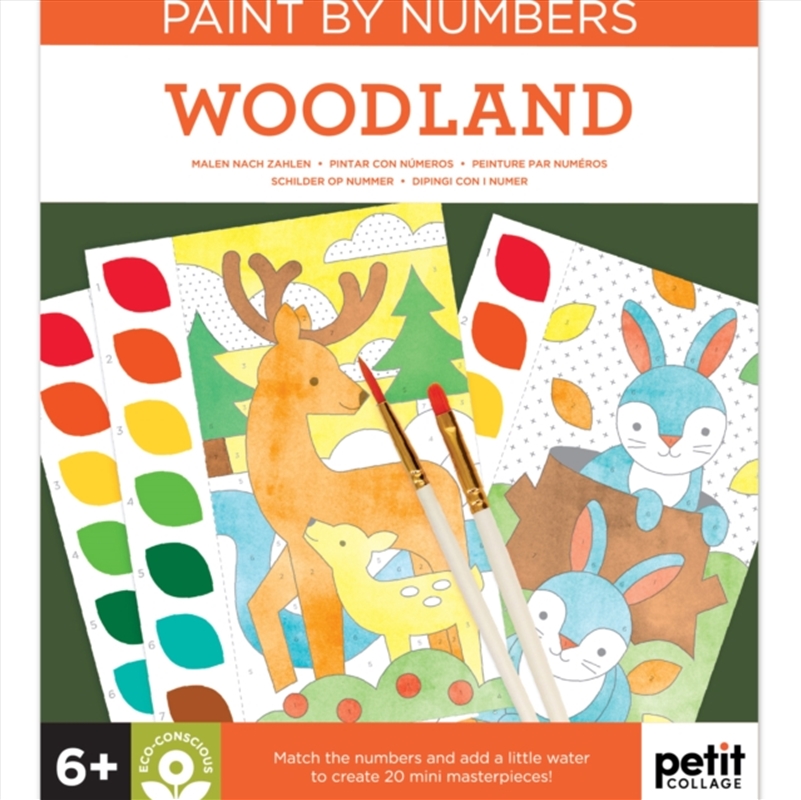 Paint by Numbers: Woodland/Product Detail/Kids Activity Books