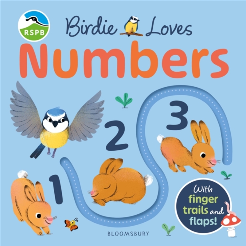 RSPB Birdie Loves Numbers/Product Detail/Early Childhood Fiction Books