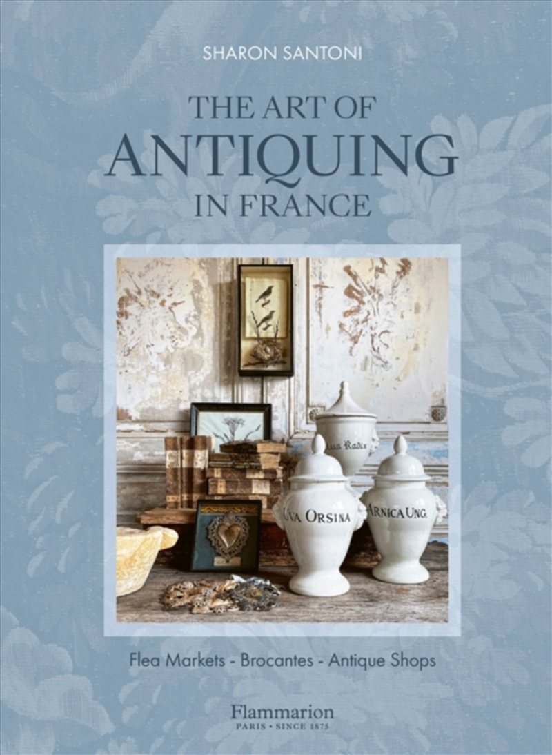 The Art of Antiquing in France : Flea Markets - Brocantes - Antique Shops/Product Detail/Art