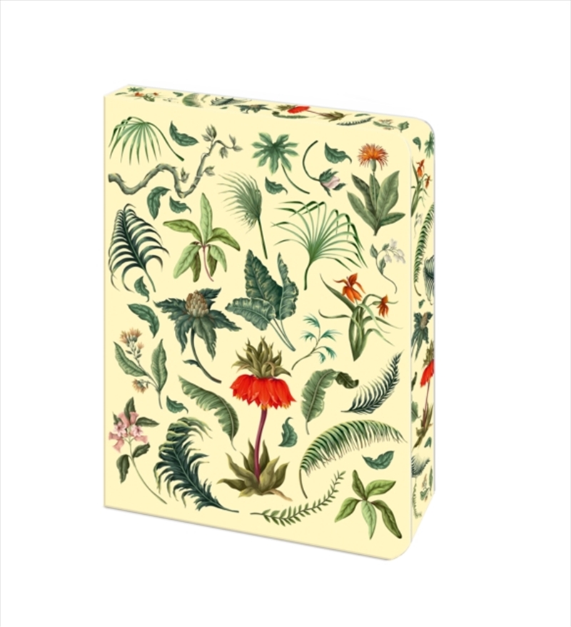 Fern Journal/Product Detail/Notebooks & Journals