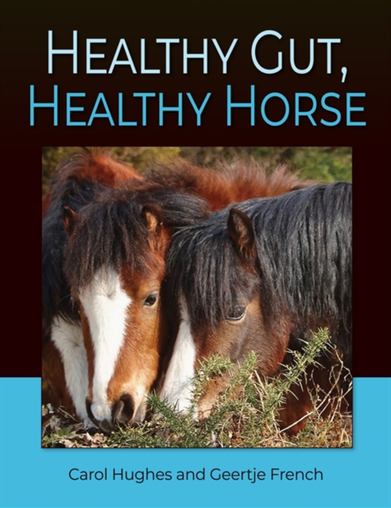 Healthy Gut Healthy Horse/Product Detail/Sport & Recreation