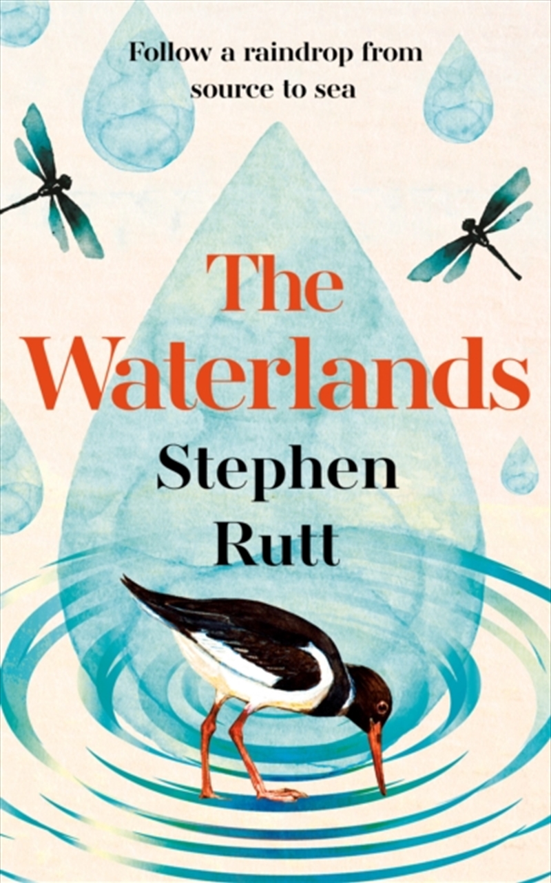 The Waterlands : Follow a Raindrop from Source to Sea/Product Detail/Animals & Nature