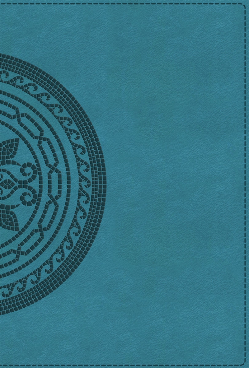 NIV Application Bible, Large Print, Red Letter, Thumb Indexed, Comfort Print: Bringing The Ancient M/Product Detail/Religion & Beliefs