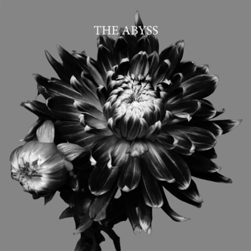The Abyss: Limited Edition/Product Detail/Rock/Pop