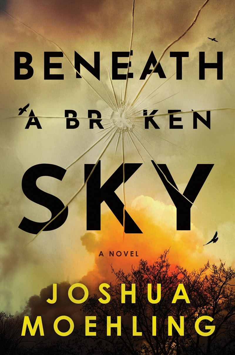 Beneath a Broken Sky/Product Detail/Thrillers & Horror Books