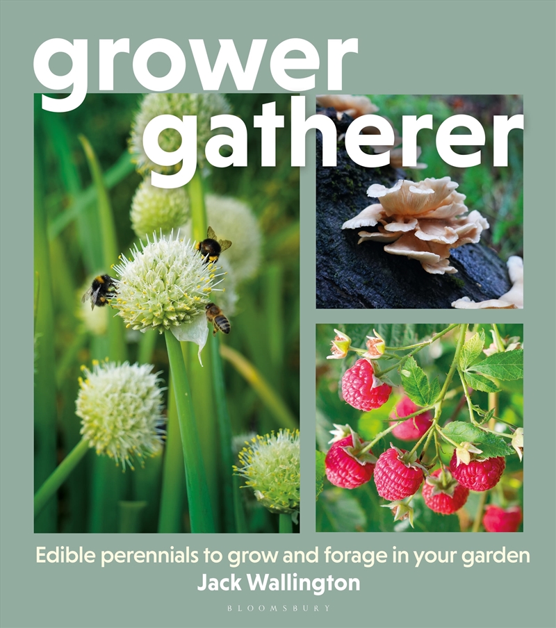 Grower-Gatherer: Edible perennials to grow and forage in your garden/Product Detail/Gardening
