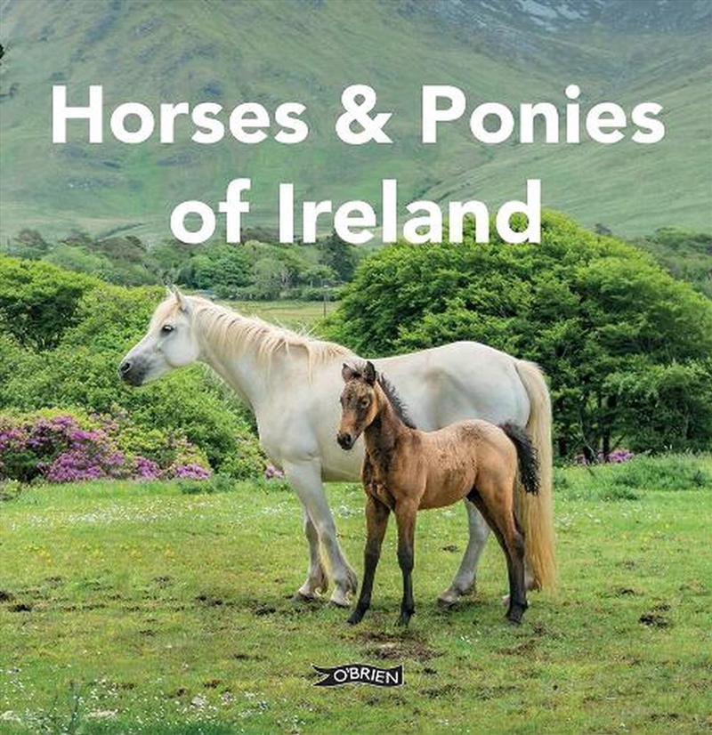 Horses and Ponies of Ireland/Product Detail/Photography