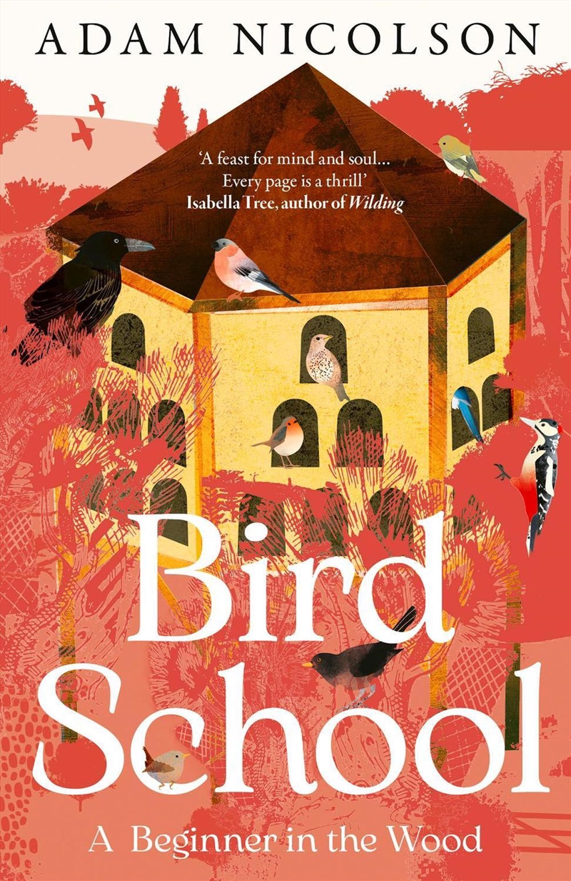 Bird School: A Beginner In The/Product Detail/Animals & Nature