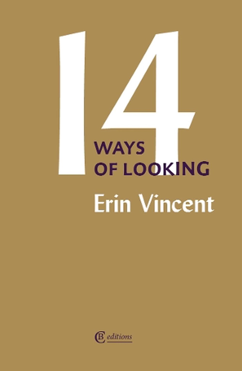 Fourteen Ways of Looking/Product Detail/General Fiction Books