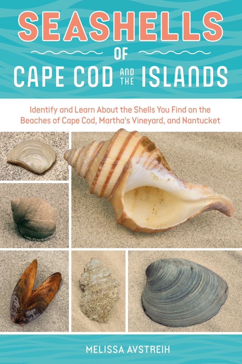 Seashells of Cape Cod and the Islands: Identify and Learn about the Shells You Find on the Beach/Product Detail/Travel & Holidays