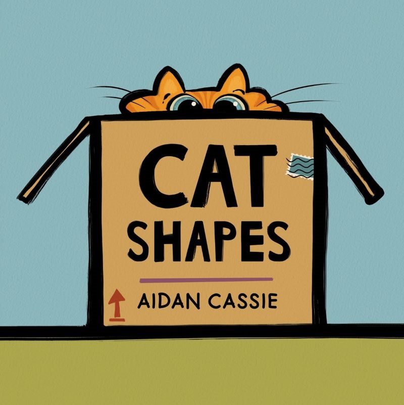 Cat Shapes/Product Detail/Early Childhood Fiction Books
