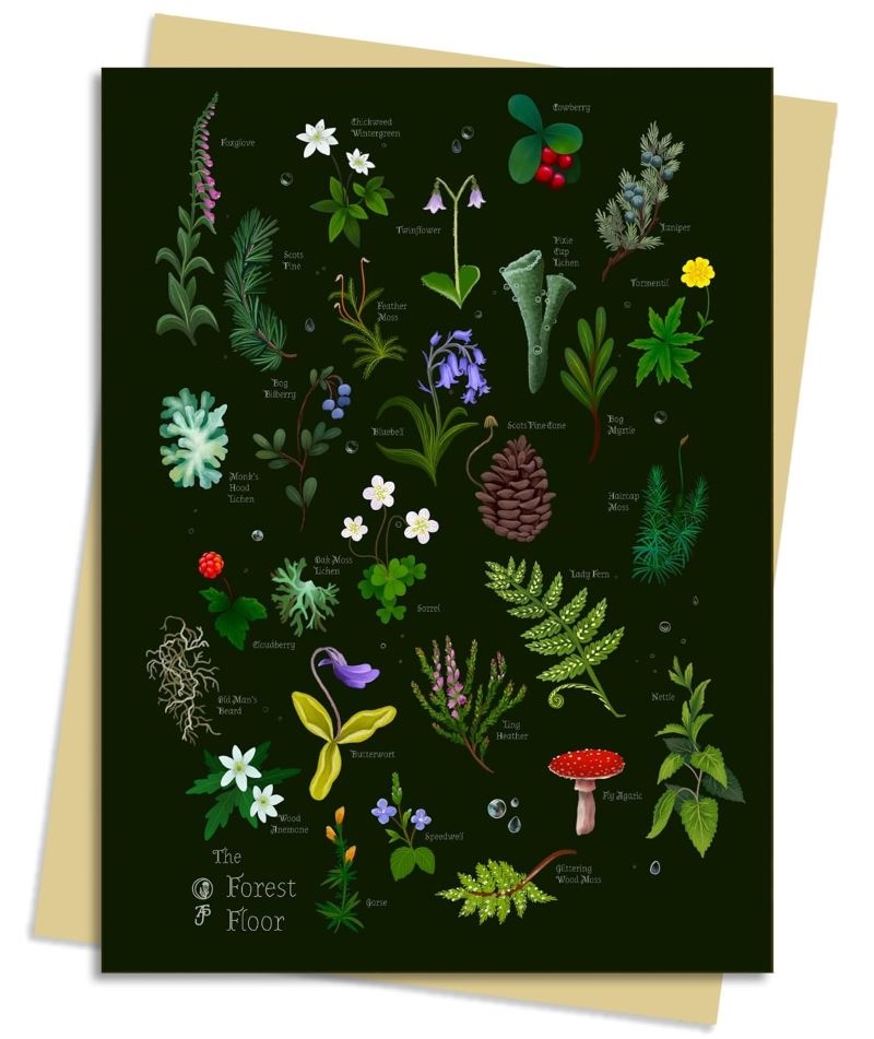 Anna Stead Forest Floor Greeting Card Pack: Pack of 6/Product Detail/Stationery