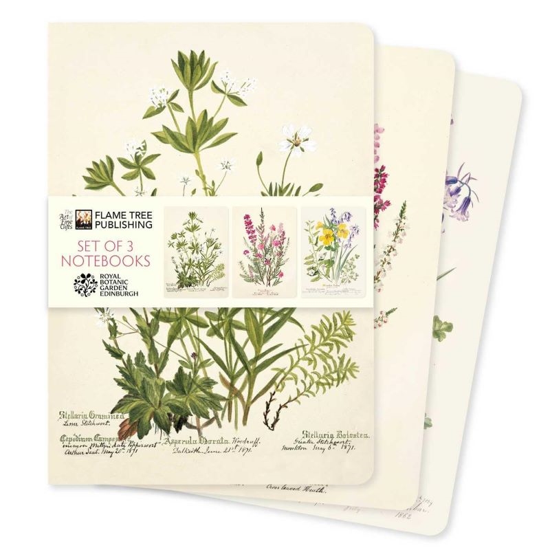 Standard Notebooks: Royal Botanic Gardens Edinburgh (Set of 3)/Product Detail/Notebooks & Journals