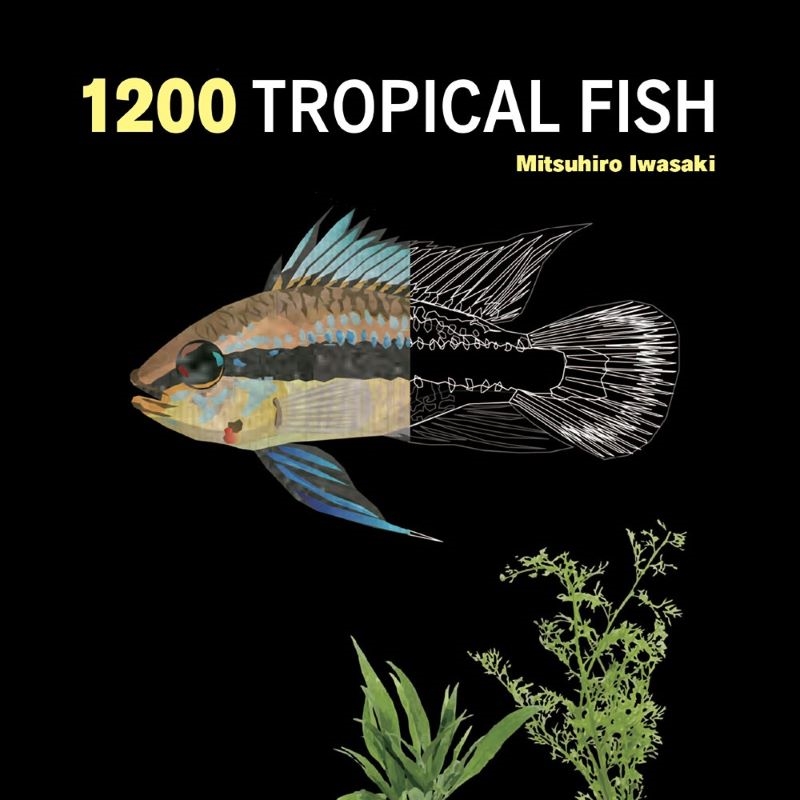 1200 Tropical Fish: An Illustrated Guide to 1200 Fish Species from Around the World/Product Detail/Animals & Nature