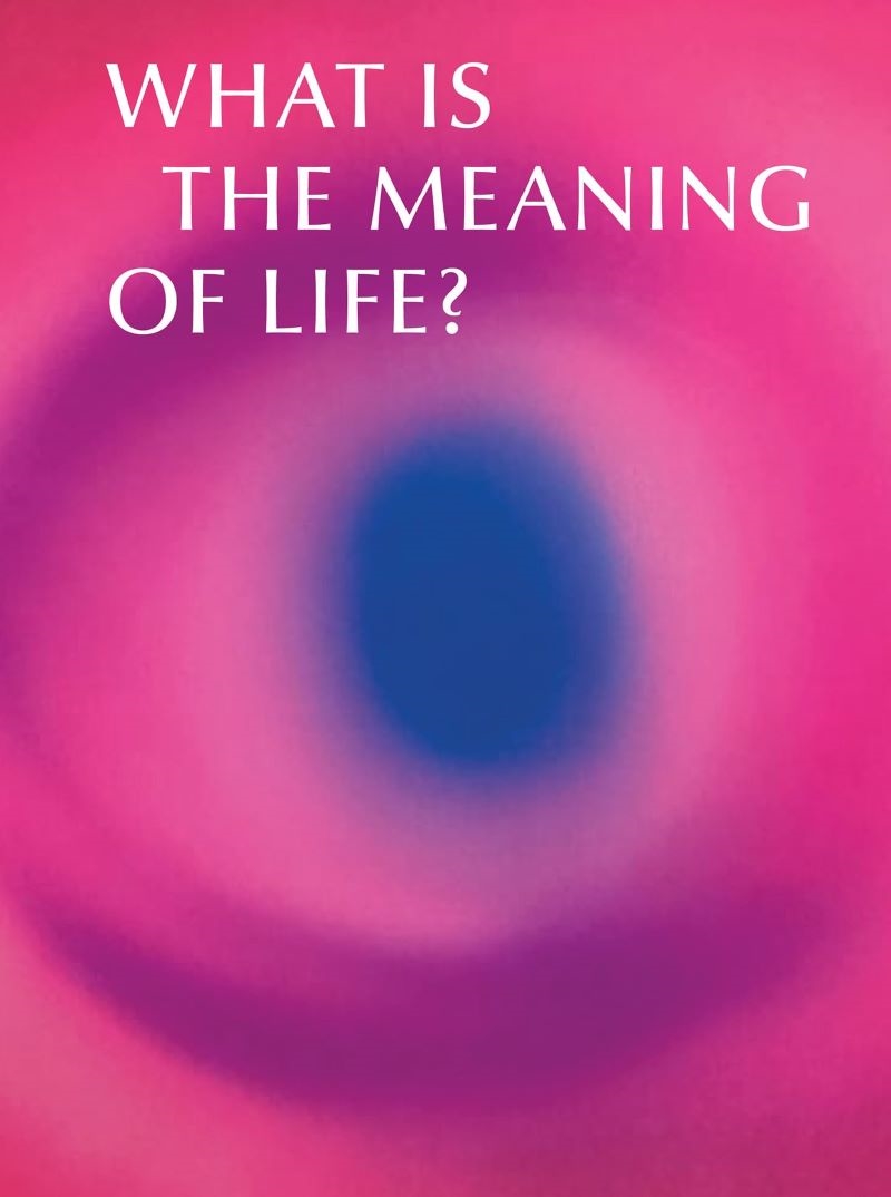 What is the Meaning of Life?: Making and Breaking the Rules We Live By/Product Detail/Art