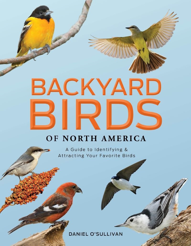 Backyard Birds of North America: A Guide to Identifying and Attracting Your Favorite Birds/Product Detail/Animals & Nature