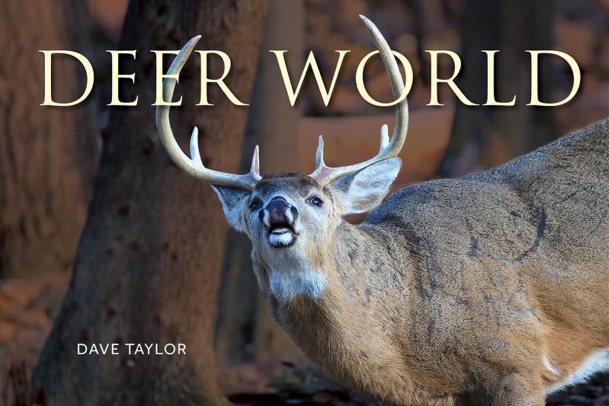 Deer World/Product Detail/Animals & Nature