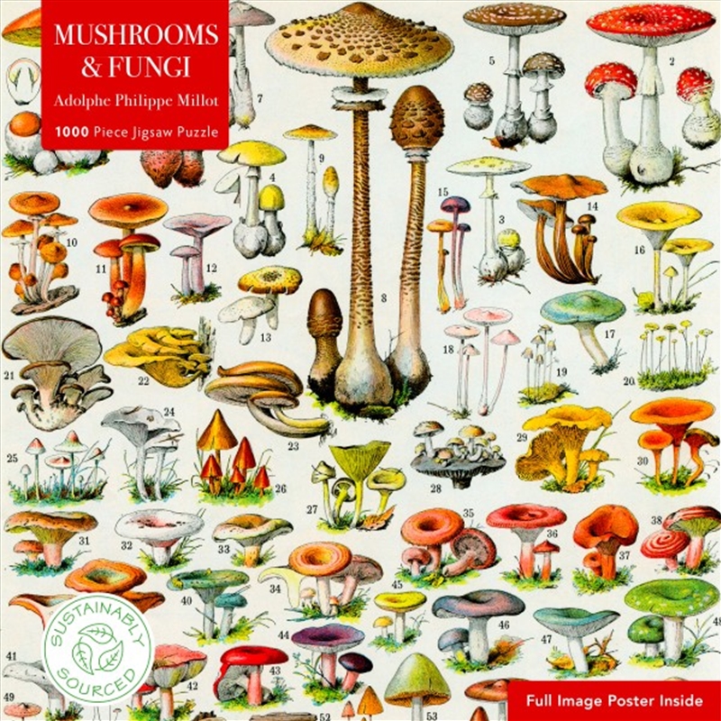 Sustainable Jigsaw: Mushrooms & Fungi by Adolphe Philippe Millot (1000-piece)/Product Detail/Jigsaw Puzzles