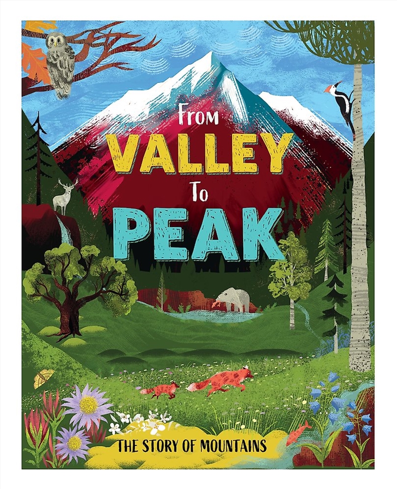 From Valley to Peak: The Story of Mountains/Product Detail/Childrens