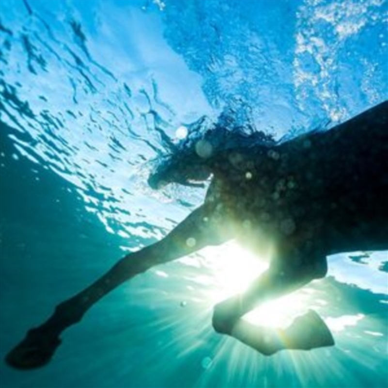 You Wish - Marble Blue Vinyl/Product Detail/Rock/Pop