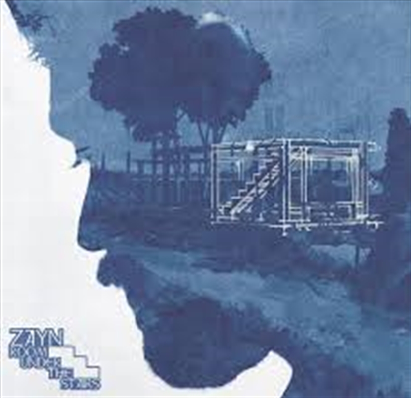 Room Under The Stairs - Limited Edition/Product Detail/Rock/Pop