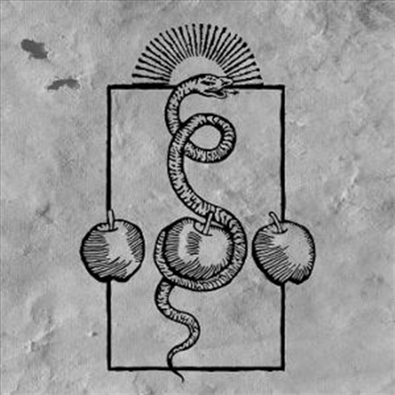 We Are Him/Product Detail/Rock/Pop