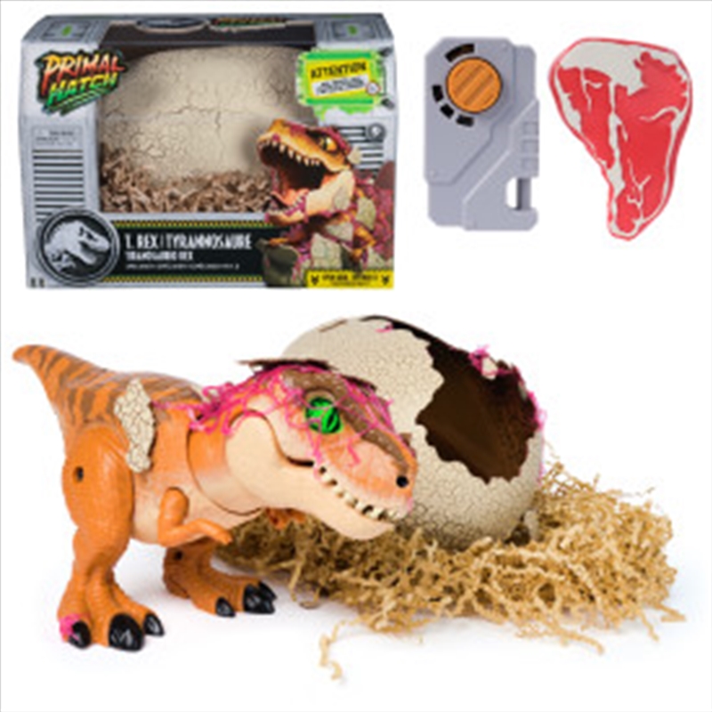 Primal Hatch Jurassic World Interactive Toy Dinosaur & Egg/Product Detail/Toys