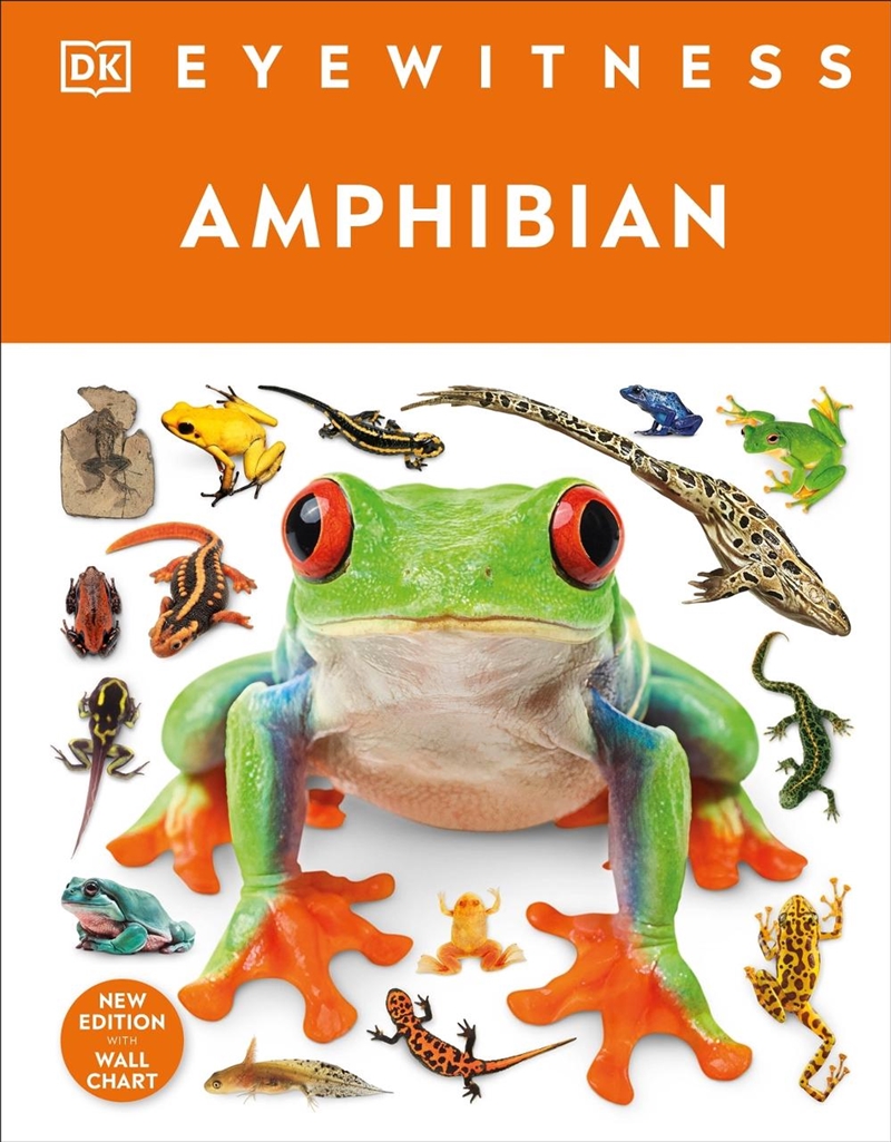 Eyewitness Amphibian/Product Detail/Childrens