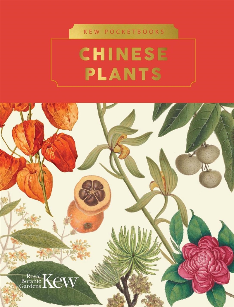 Kew Pocketbooks: Chinese Plants/Product Detail/Art
