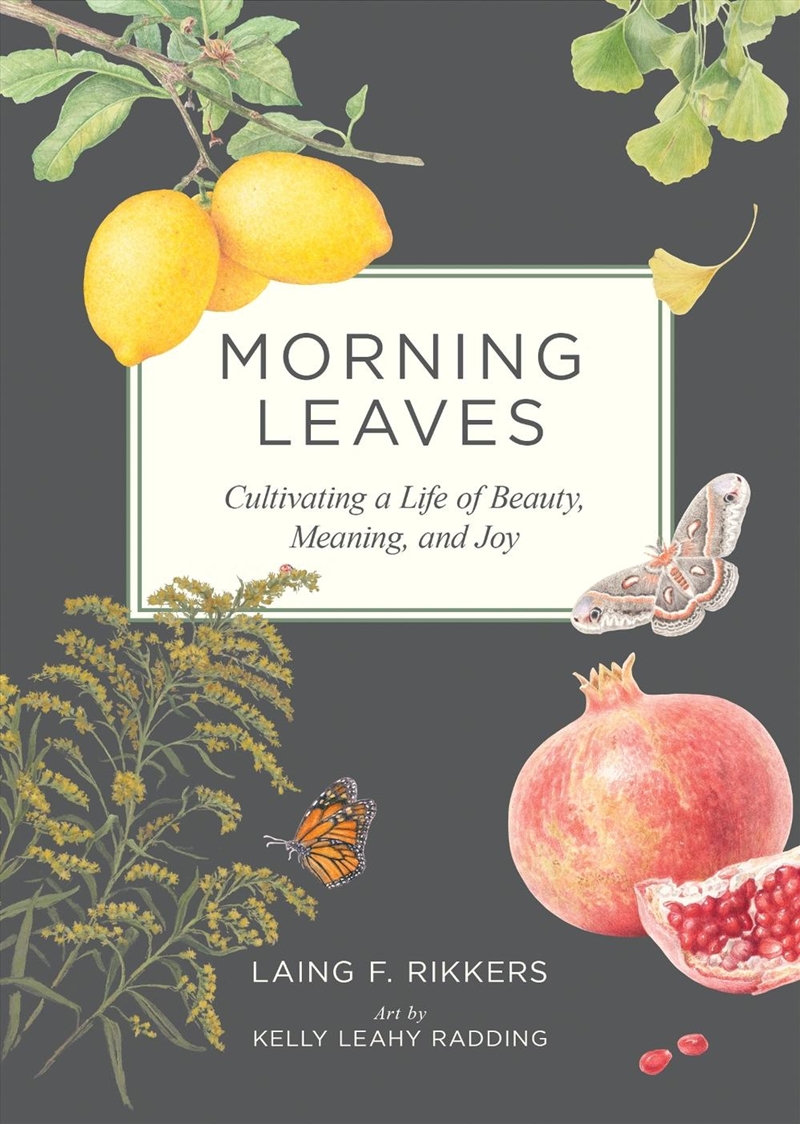 Morning Leaves/Product Detail/Reading