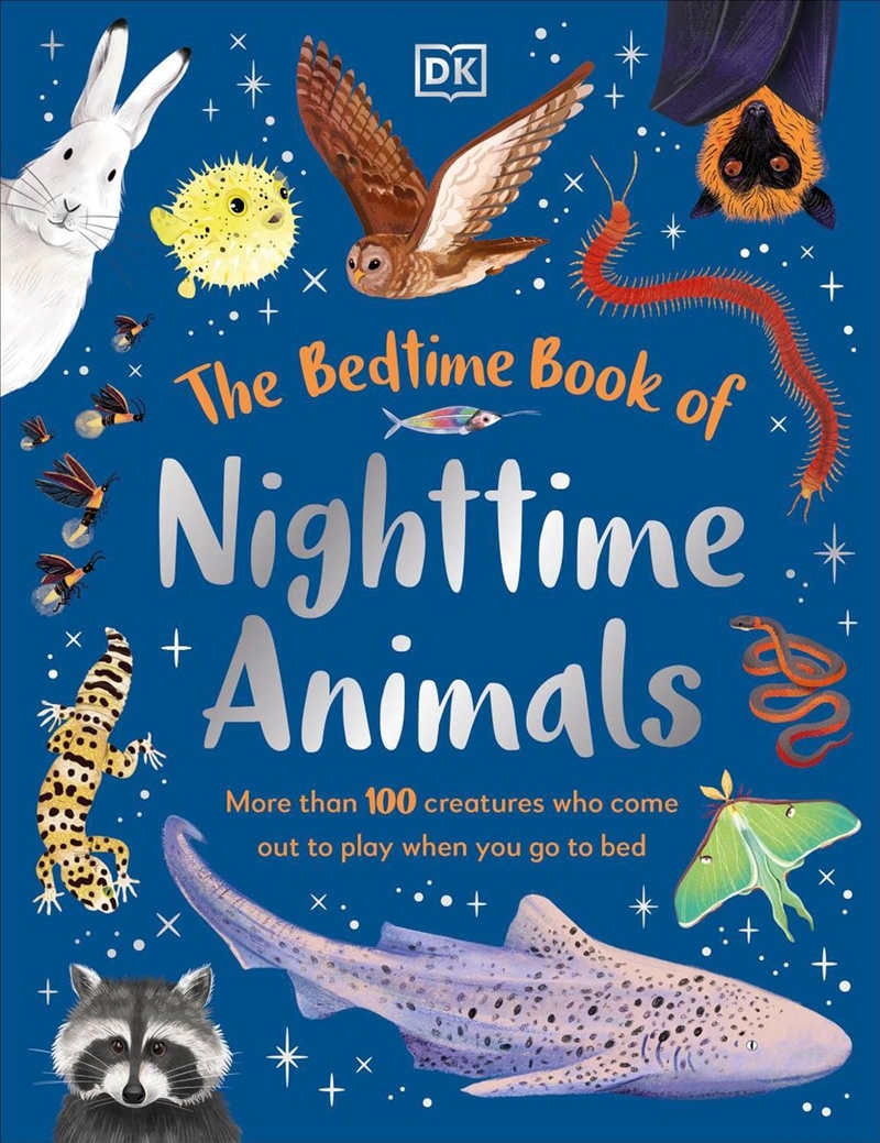 The Bedtime Book Of Nighttime/Product Detail/Childrens