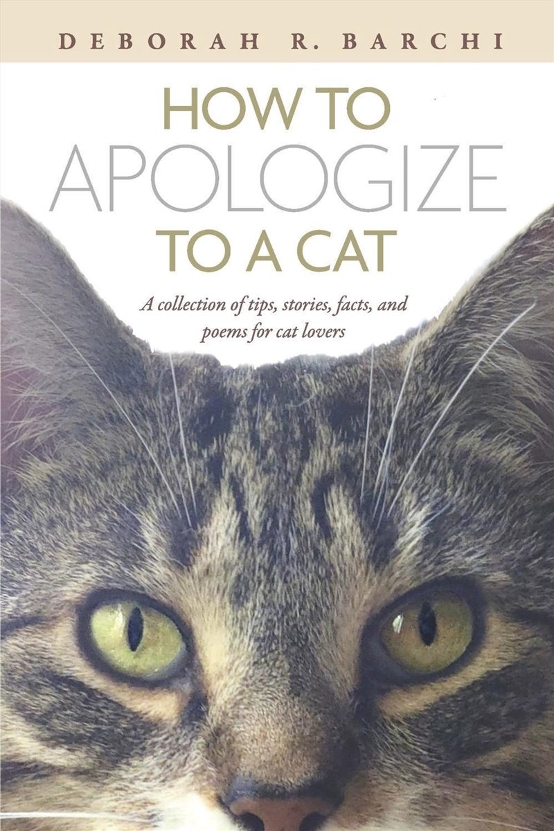 How To Apologize To A Cat/Product Detail/Animals & Nature