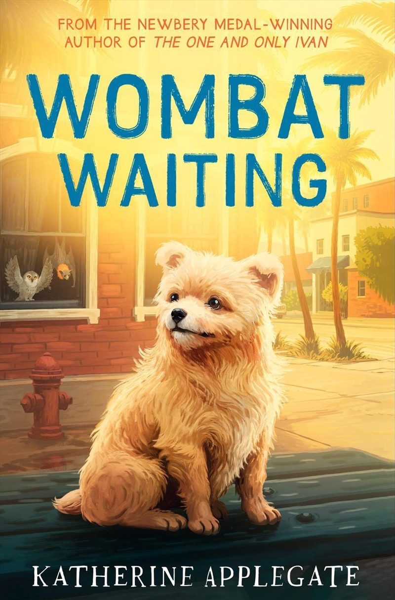 Wombat Waiting/Product Detail/Childrens Fiction Books