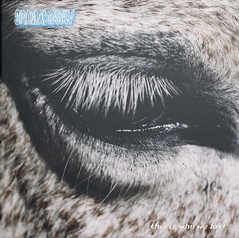 This Is Why We Lost/Product Detail/Dance