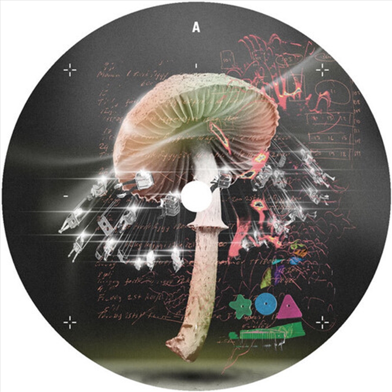 Move 2 The Groove/Product Detail/Dance