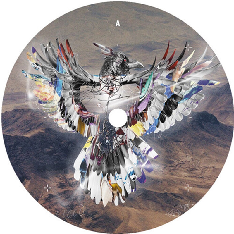 We Are Free/Product Detail/Dance