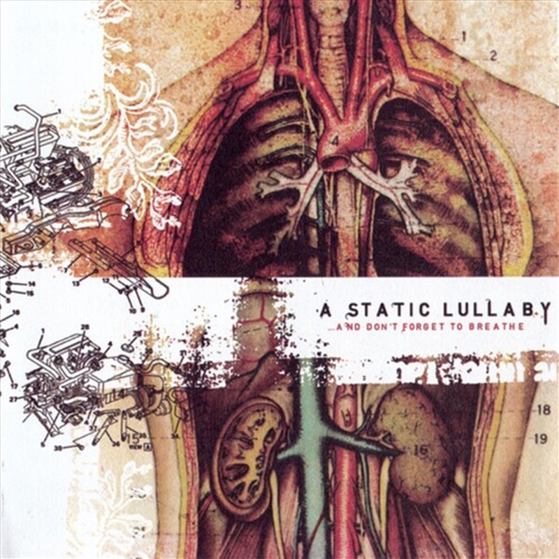 & Don't Forget To Breathe/Product Detail/Rock/Pop