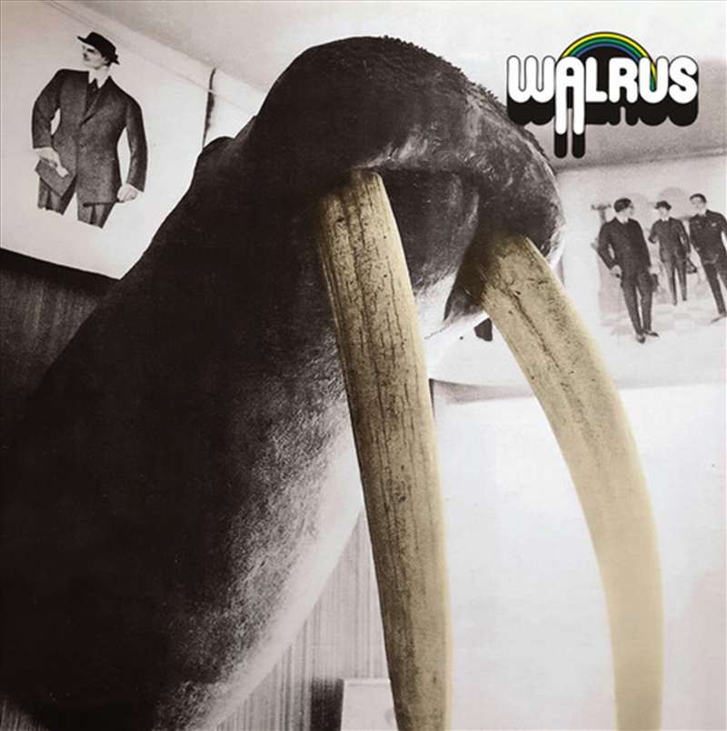 Walrus/Product Detail/Rock/Pop