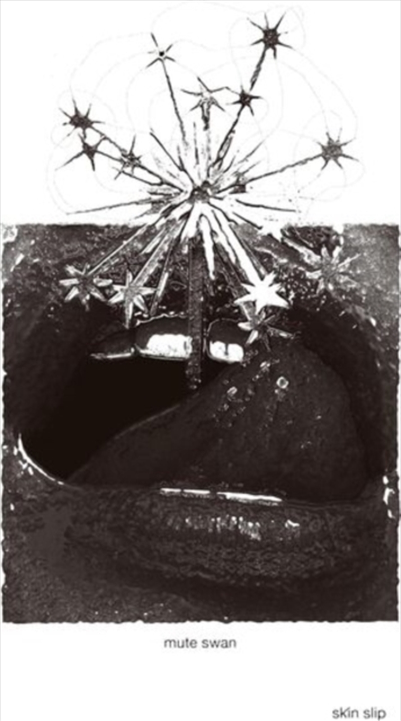 Skin Slip/Product Detail/Alternative